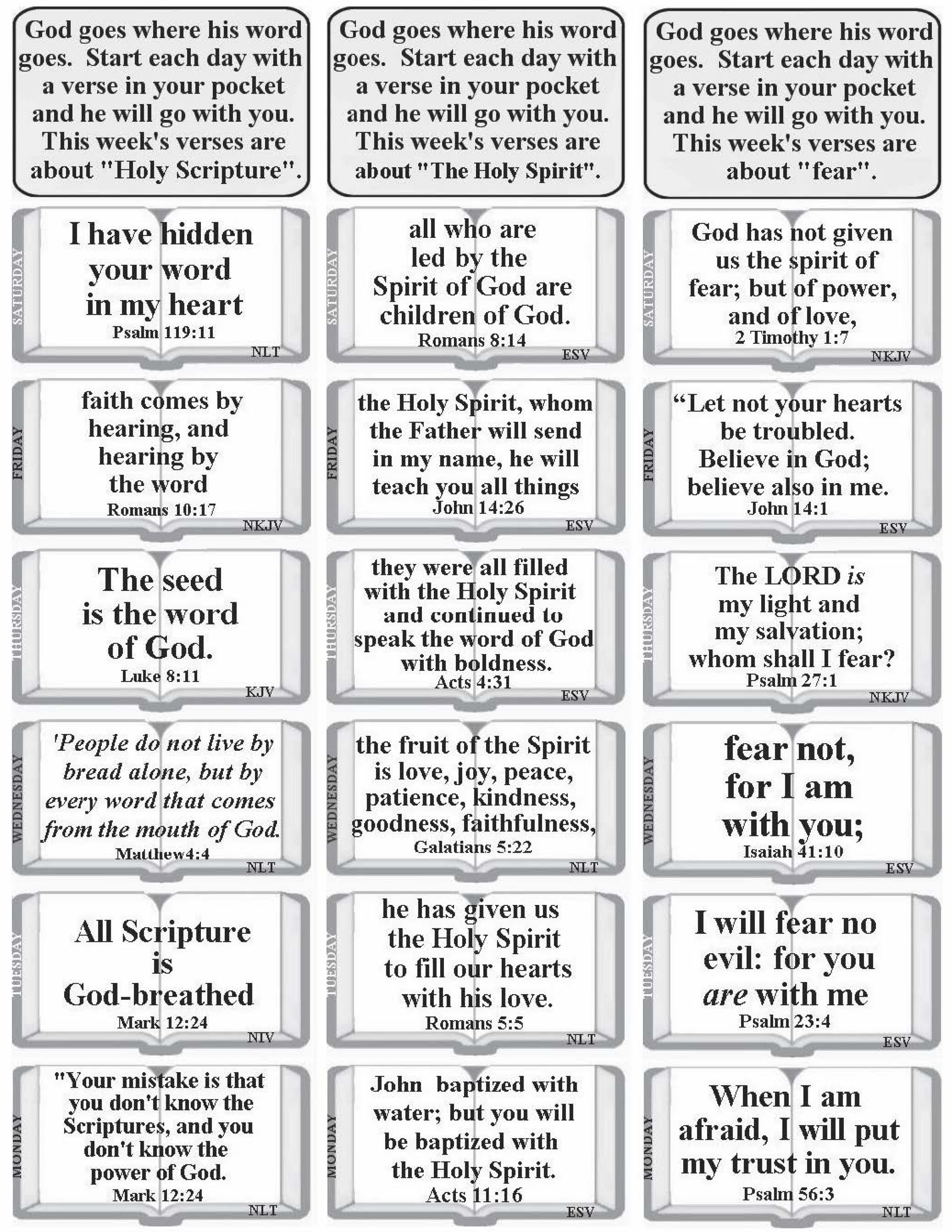 free-bible memory cards